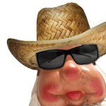 Gnorman with sunglasses